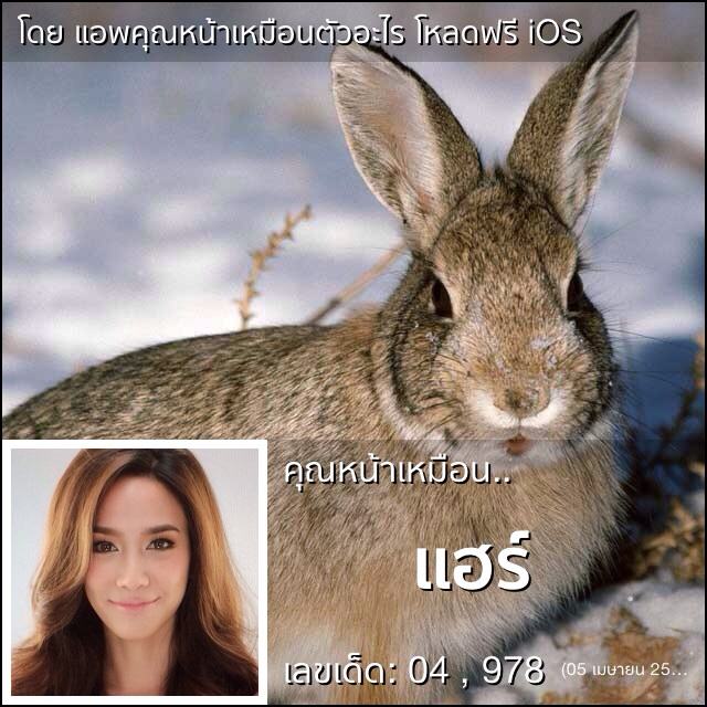 "อั้ม พัชราภา"ซุปตาร์ กับแอปสุดฮิต !