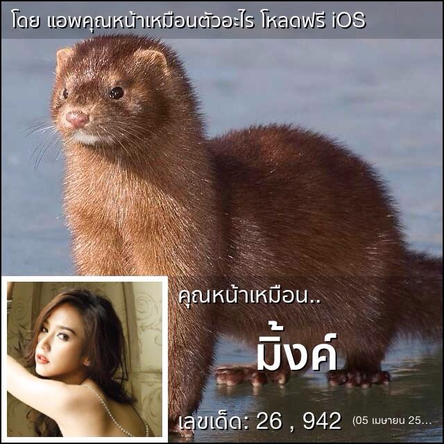 "อั้ม พัชราภา"ซุปตาร์ กับแอปสุดฮิต !