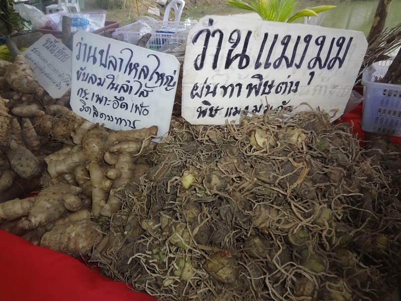 ได้เห็นและได้รู้จัก ชื่อ ว่าน เหล่านี้ ในงานคนไทยหัวใจเกษตร ครั้งที่5 นี่แหละ !!!