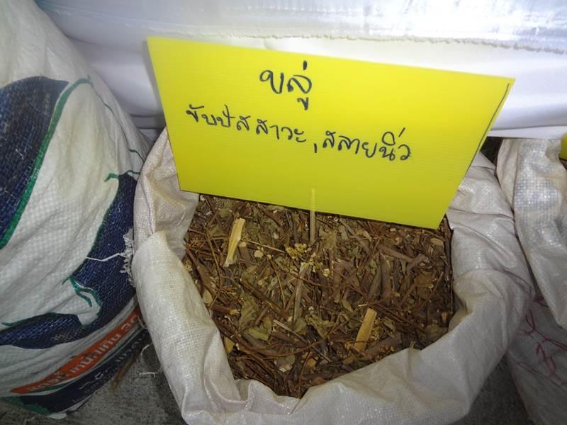 ได้เห็นและได้รู้จัก ชื่อ ว่าน เหล่านี้ ในงานคนไทยหัวใจเกษตร ครั้งที่5 นี่แหละ !!!