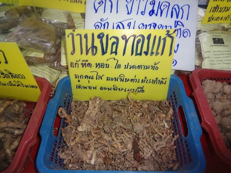 ได้เห็นและได้รู้จัก ชื่อ ว่าน เหล่านี้ ในงานคนไทยหัวใจเกษตร ครั้งที่5 นี่แหละ !!!
