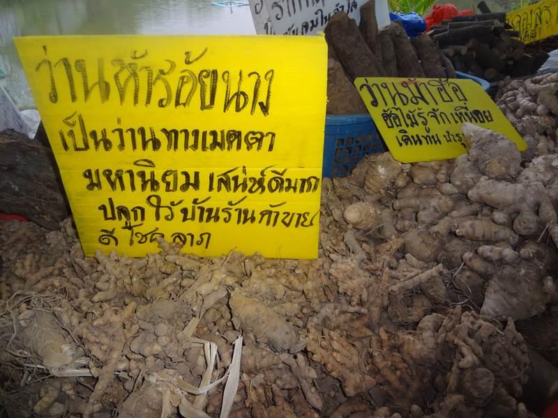 ได้เห็นและได้รู้จัก ชื่อ ว่าน เหล่านี้ ในงานคนไทยหัวใจเกษตร ครั้งที่5 นี่แหละ !!!