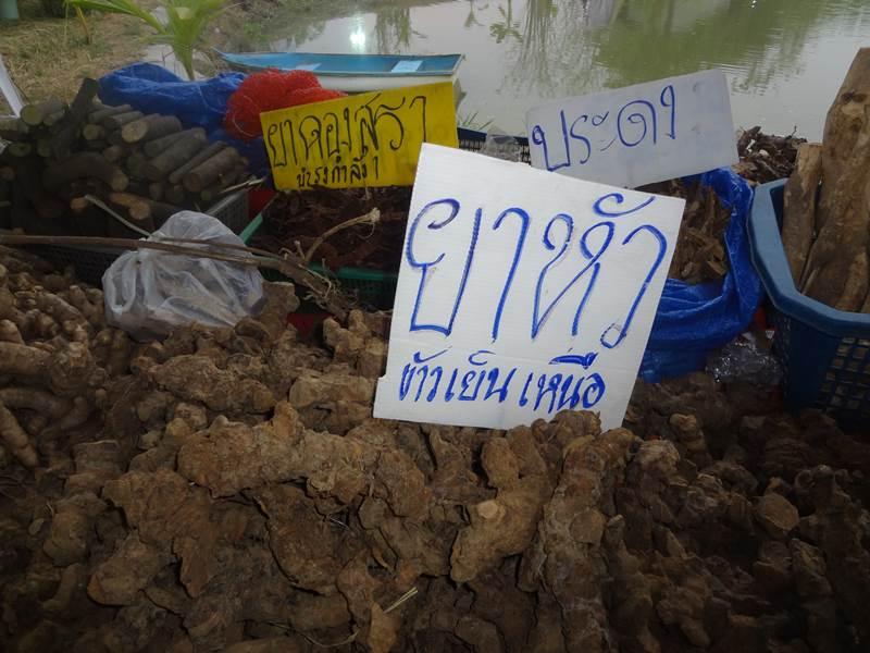 ได้เห็นและได้รู้จัก ชื่อ ว่าน เหล่านี้ ในงานคนไทยหัวใจเกษตร ครั้งที่5 นี่แหละ !!!