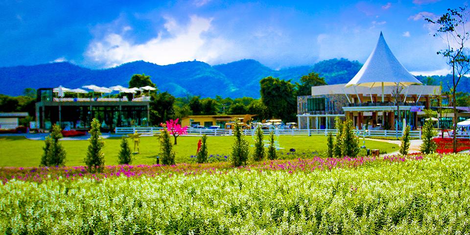 เดอะ บลูม บายทีวีพูล สวนดอกไม้ท่ามกลางขุนเขาที่ใหญ่และสวนที่สุดในอีสาน