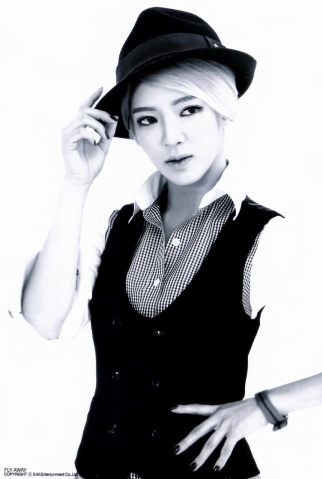 SNSD Mr.Mr. Photobook