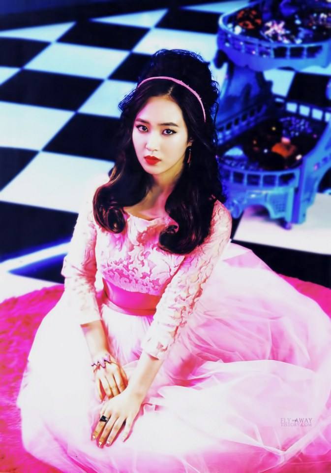SNSD Mr.Mr. Photobook