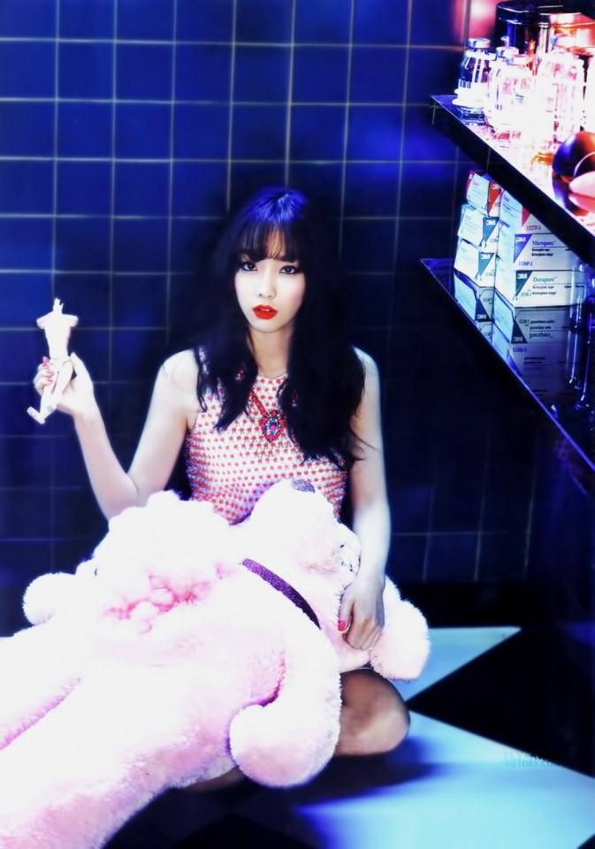 SNSD Mr.Mr. Photobook
