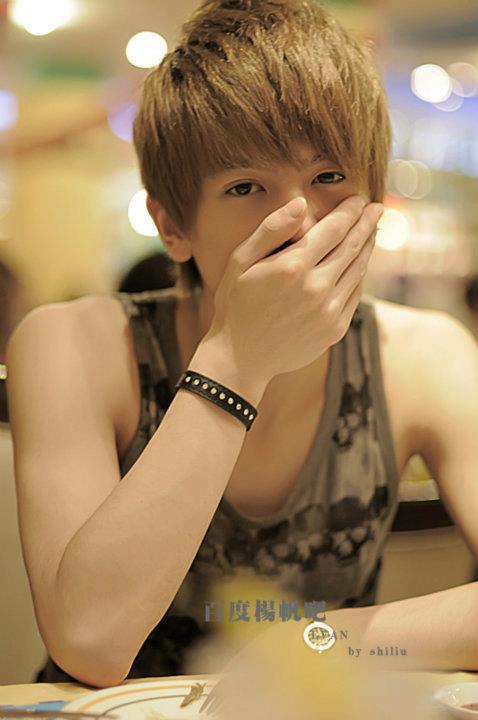 yang fan 2