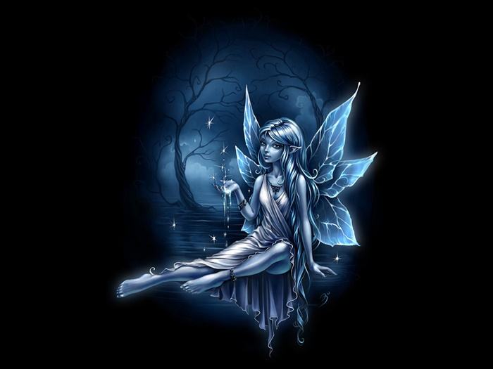 Collection Fantasy - No.1