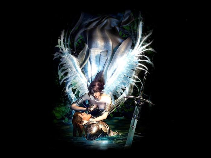 Collection Fantasy - No.3