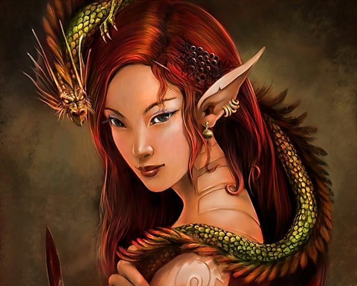 Collection Fantasy - No.5