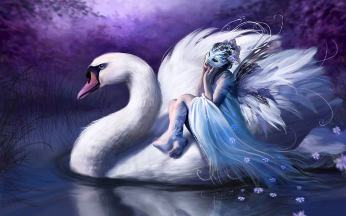 Collection Fantasy - No.6