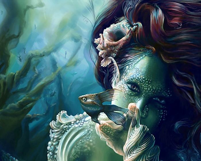 Collection Fantasy - No.8