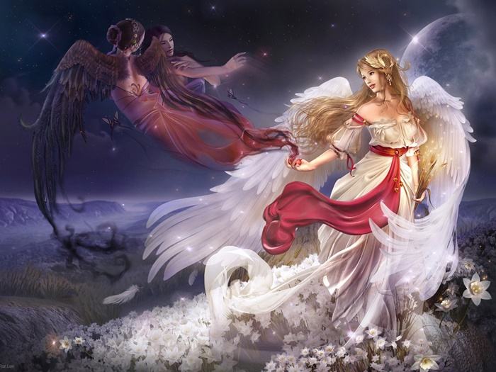 Collection Fantasy - No.8