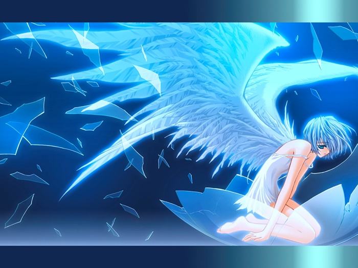 Collection Fantasy - No.10