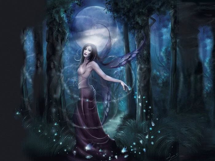 Collection Fantasy - No.11