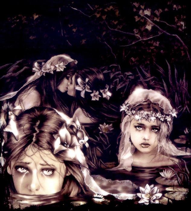 Collection Fantasy - No.11