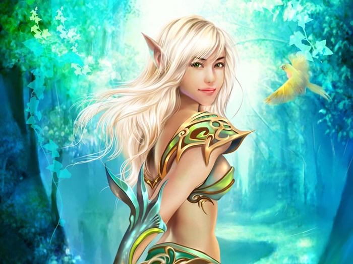 Collection Fantasy - No.12