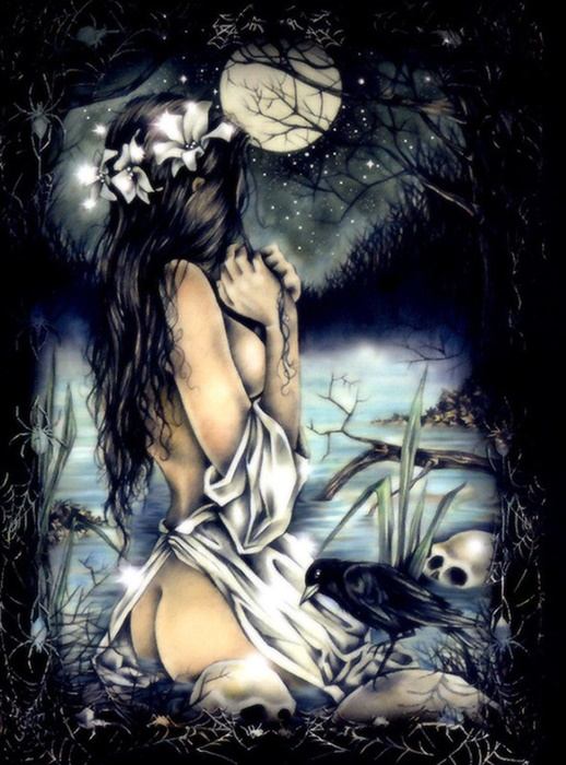 Collection Fantasy - No.12