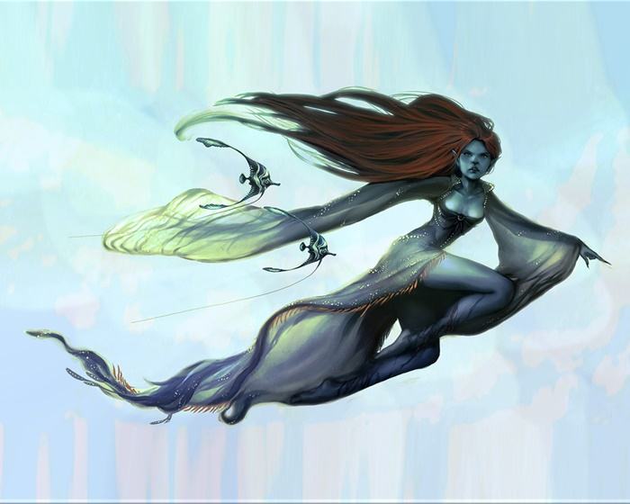 Collection Fantasy - No.13