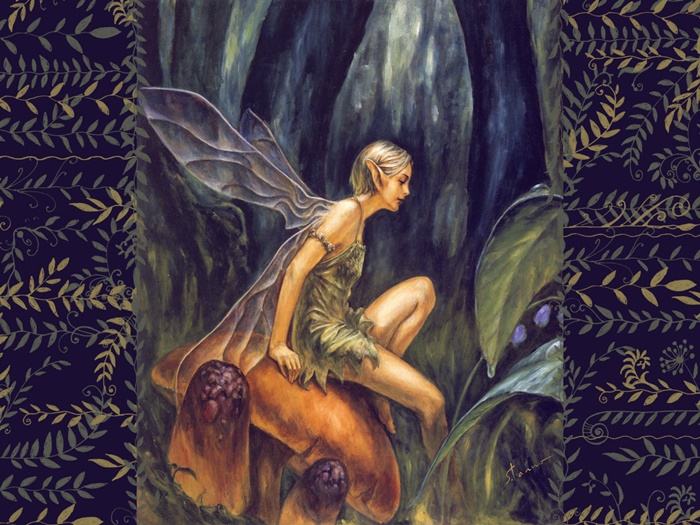 Collection Fantasy - No.13