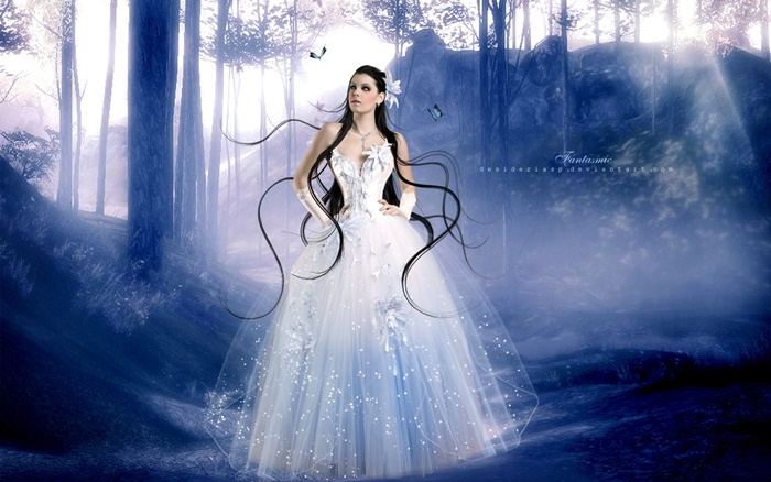 Collection Fantasy - No.14
