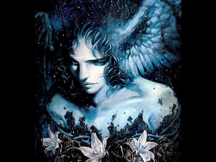 Collection Fantasy - No.14