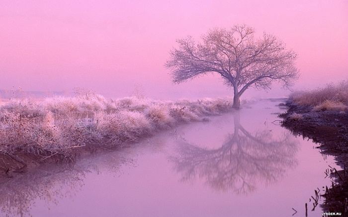 ธรรมชาติสวยๆ   วิว ทิวทัศน์ - No.2
