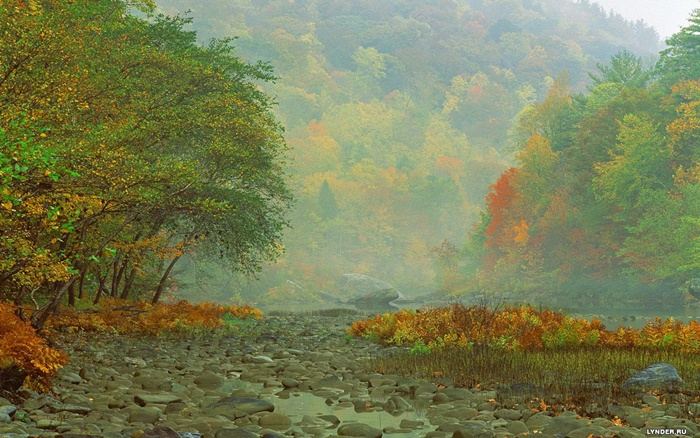 ธรรมชาติสวยๆ วิว ทิวทัศน์ - No.3