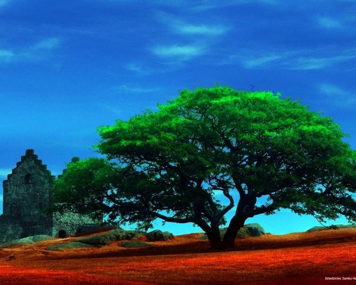 ธรรมชาติสวยๆ   วิว ทิวทัศน์ - No.7