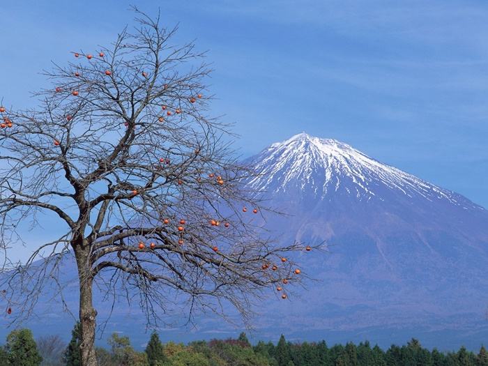 ธรรมชาติสวยๆ วิว ทิวทัศน์ - No.10