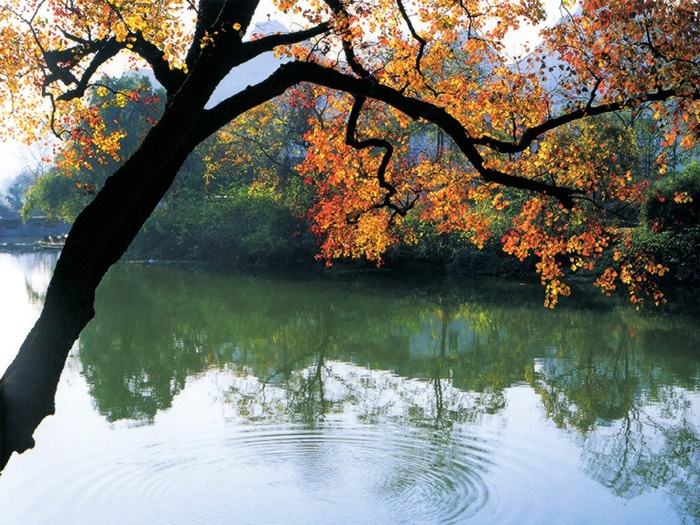 ธรรมชาติสวยๆ วิว ทิวทัศน์ - No.11