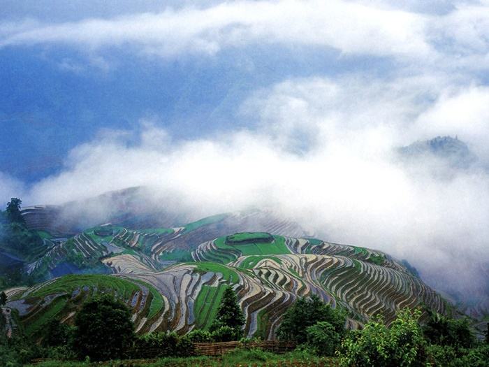 ธรรมชาติสวยๆ วิว ทิวทัศน์ - No.11