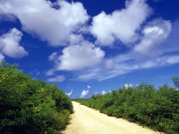 ธรรมชาติสวยๆ   วิว ทิวทัศน์ - No.12