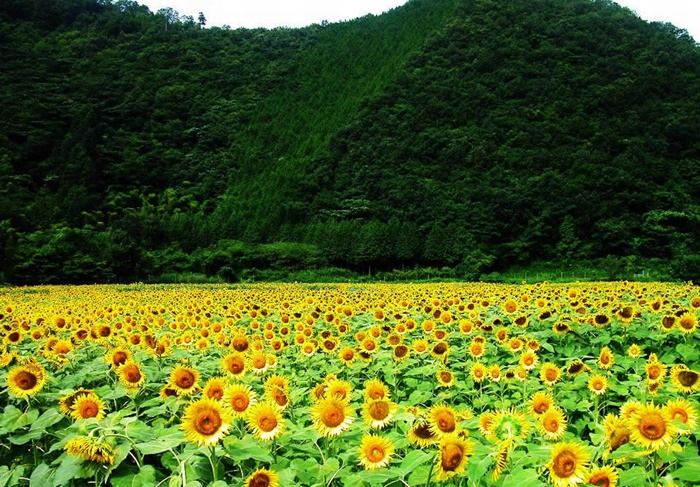 ธรรมชาติสวยๆ   วิว ทิวทัศน์ - No.14