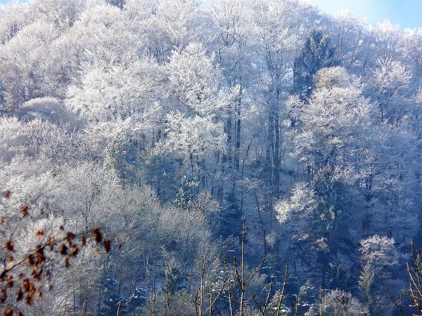 ธรรมชาติสวยๆ   วิว ทิวทัศน์ - No.14