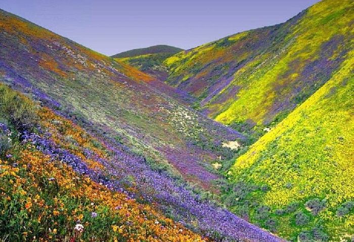 ธรรมชาติสวยๆ   วิว ทิวทัศน์ - No.14