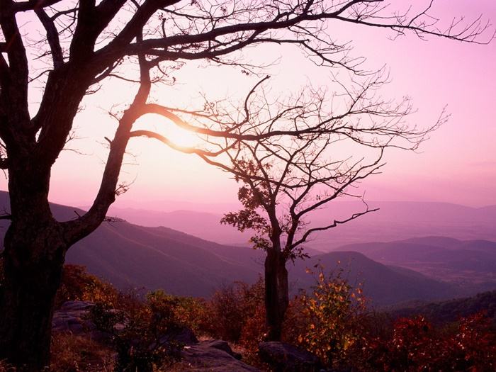 ธรรมชาติสวยๆ วิว ทิวทัศน์ - No.17