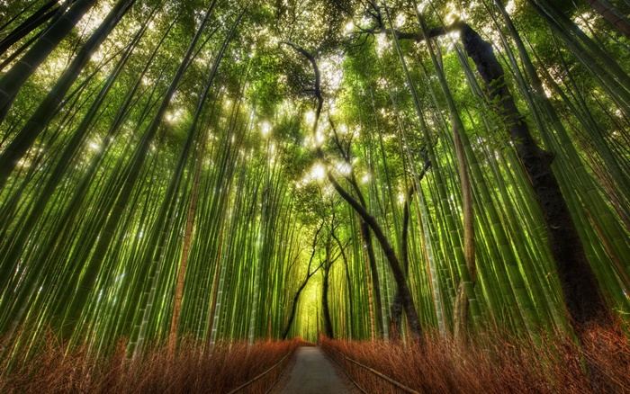 ธรรมชาติสวยๆ   วิว ทิวทัศน์ - No.18