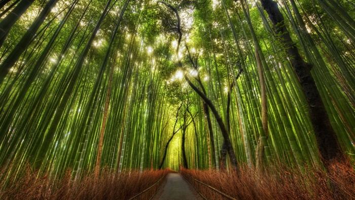 ธรรมชาติสวยๆ   วิว ทิวทัศน์ - No.18
