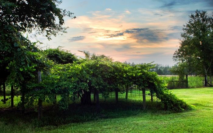 ธรรมชาติสวยๆ   วิว ทิวทัศน์ - No.20