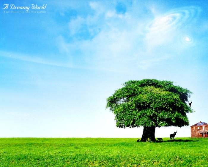 Dreamy World-ภาพสวยๆ วิว ทิวทัศน์  No.1