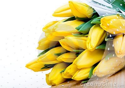 ธรรมชาติ ดอกไม้สวยๆ No.22