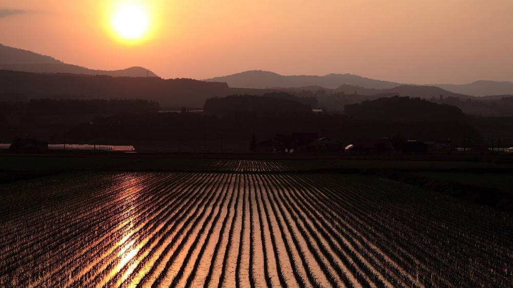 ธรรมชาติยามเย็น วิว ทิวทัศน์ - No.2