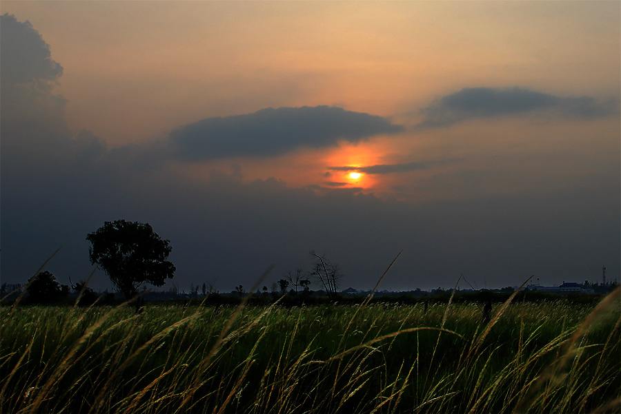ธรรมชาติยามเย็น วิว ทิวทัศน์ - No.5