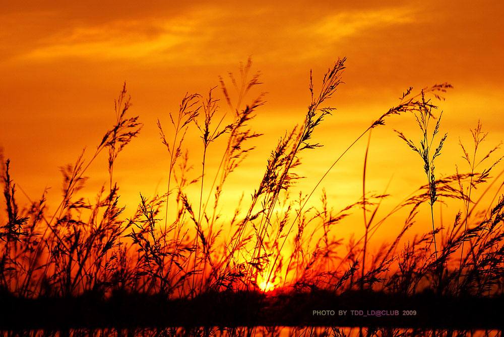 ธรรมชาติยามเย็น วิว ทิวทัศน์ - No.6