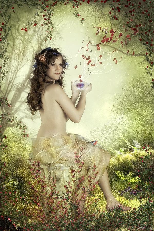 รูปภาพ ภาพวาด สวยๆ แต่งโปรไฟล์&คอมเมนท์ No.2