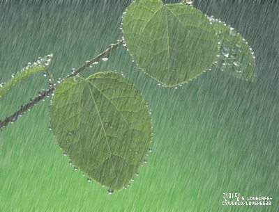 รูปฝนตก กริตเตอร์คอมเมนท์ น่ารักๆ No.1