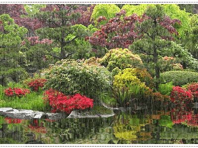 รูปฝนตก กริตเตอร์คอมเมนท์ น่ารักๆ No.1