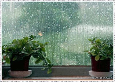 รูปฝนตก กริตเตอร์คอมเมนท์ น่ารักๆ No.1